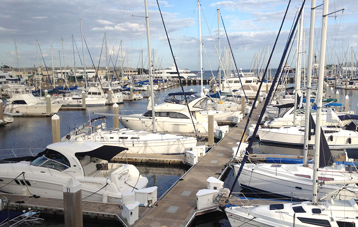 harborage marina 1